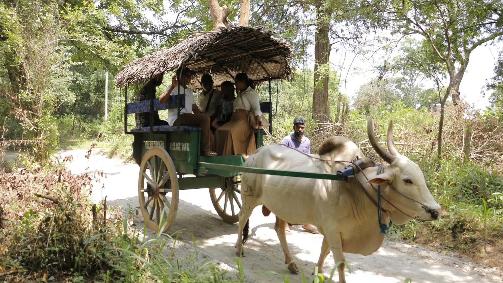 Sidh Sigiriya Hotel Guest house